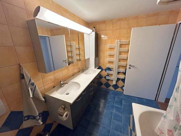 Grosszügiges 2.5-Zimmer-Doppeleinfamilienhaus im Dorfkern von Oberwinterthur 11