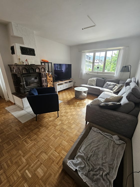 Grosszügige 1-Zimmer-Wohnung mit Kamin und Balkon in Oberembrach 1