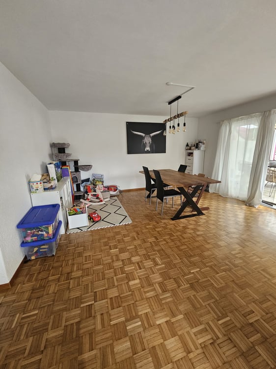 Grosszügige 1-Zimmer-Wohnung mit Kamin und Balkon in Oberembrach 4