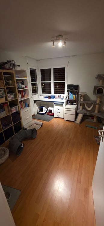 Moderne 1.5-Zimmer-Wohnung mit Balkon und Garage in Rickenbach LU 5