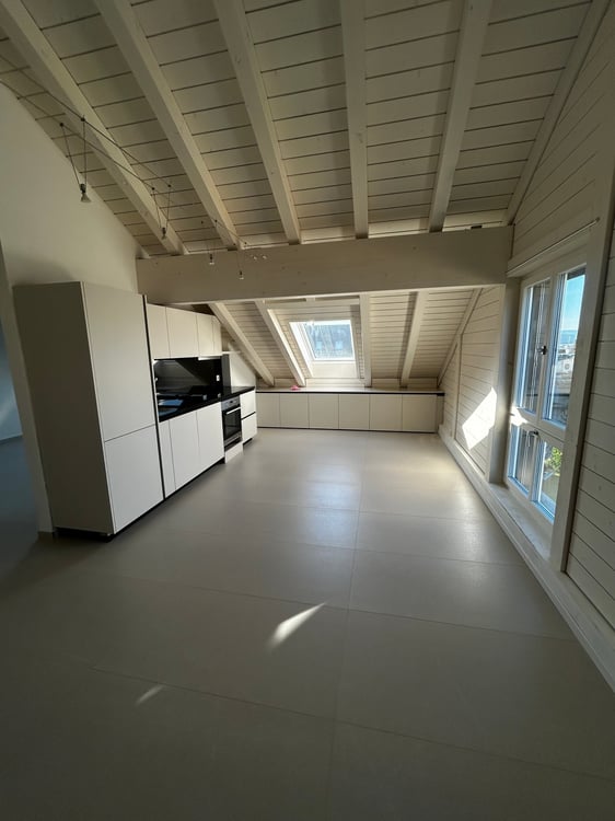 Charmante 1-Zimmer-Dachwohnung in Opfikon 1