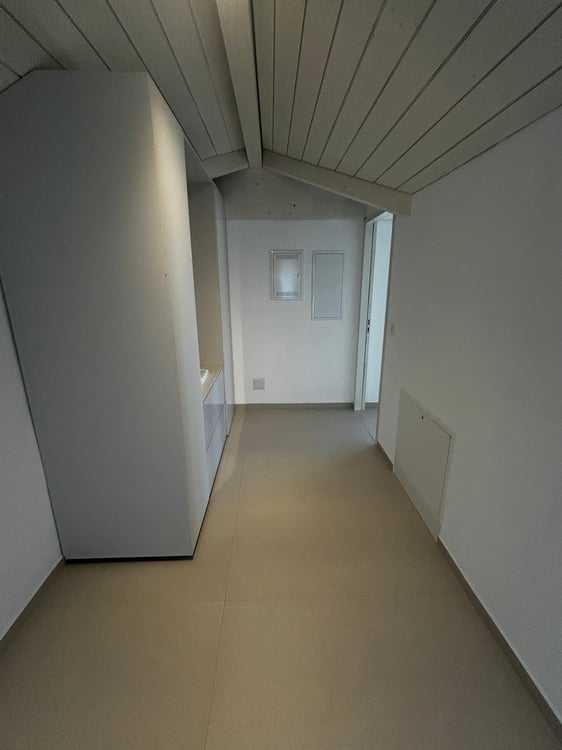 Charmante 1-Zimmer-Dachwohnung in Opfikon 2