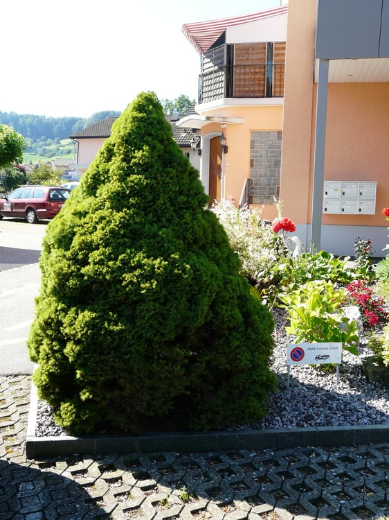 Möbliertes 1.5 Zimmer Wohnstudio im Aparthouse three Star 2