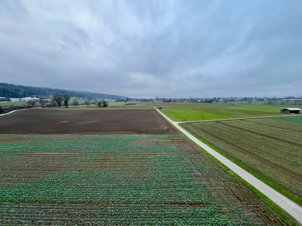 Exklusive 1.5-Zimmer-Attikawohnung: Unverbaubare Weitsicht & Eigentumsstandard 5