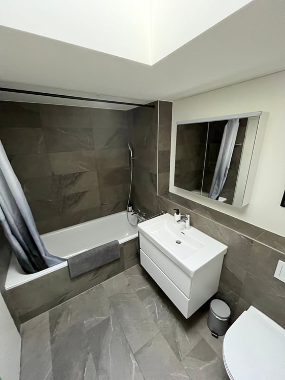 Exklusive 1.5-Zimmer-Attikawohnung: Unverbaubare Weitsicht & Eigentumsstandard 10