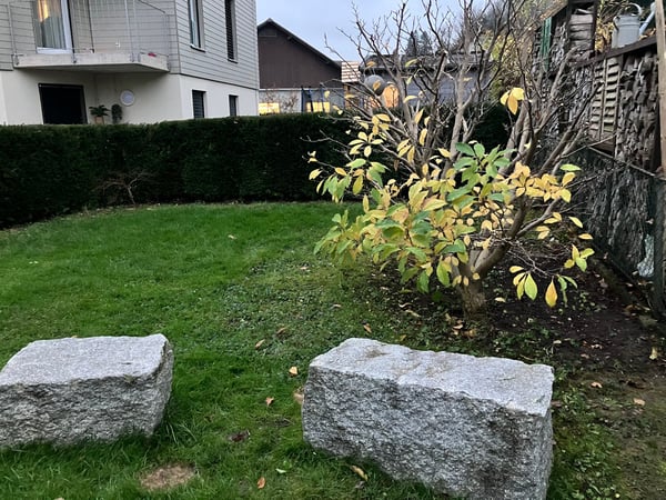 Charmantes 1.1-Zimmer-Haus mit renovierter  Werkstatt und Lager in Niederstetten 3