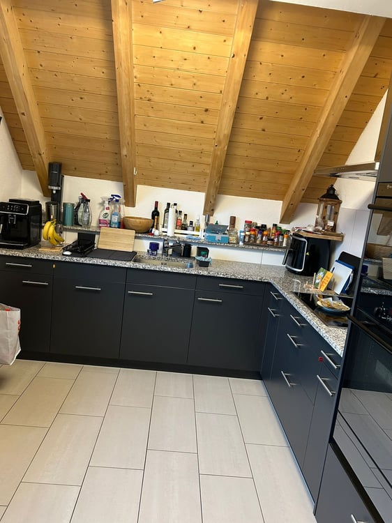 Grosszügige 1-Zimmer-Duplex-Wohnung mit Kamin in Oberhasli 3