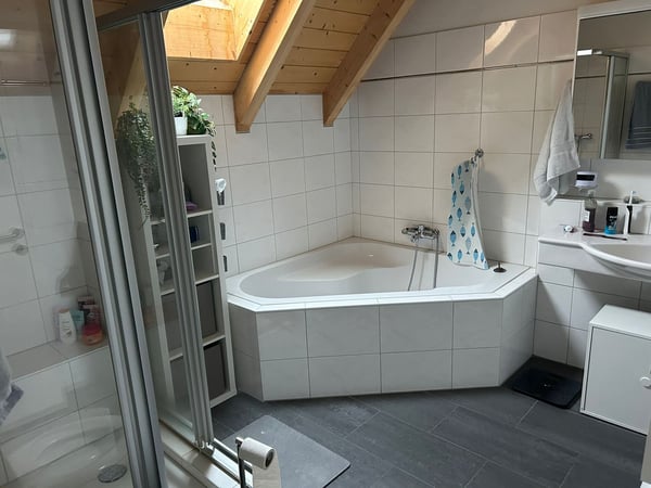 Grosszügige 1-Zimmer-Duplex-Wohnung mit Kamin in Oberhasli 4