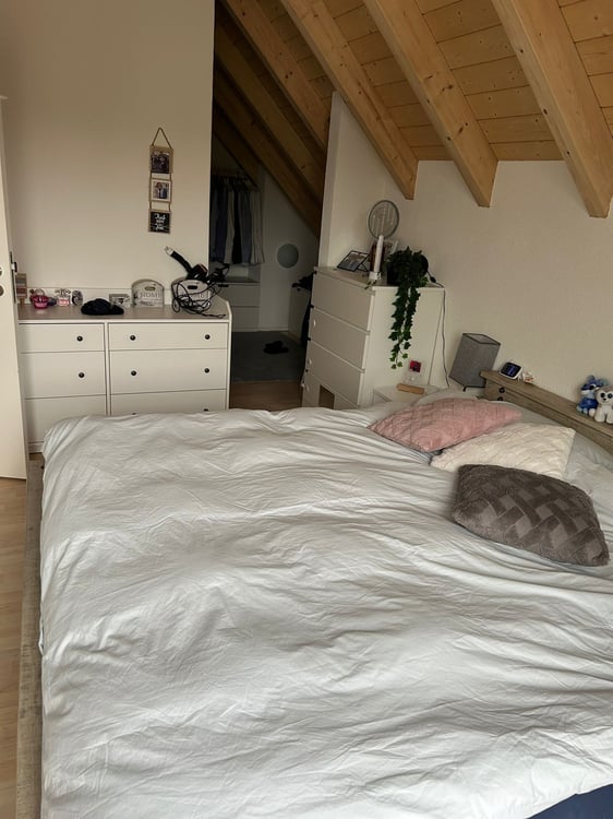 Grosszügige 1-Zimmer-Duplex-Wohnung mit Kamin in Oberhasli 5