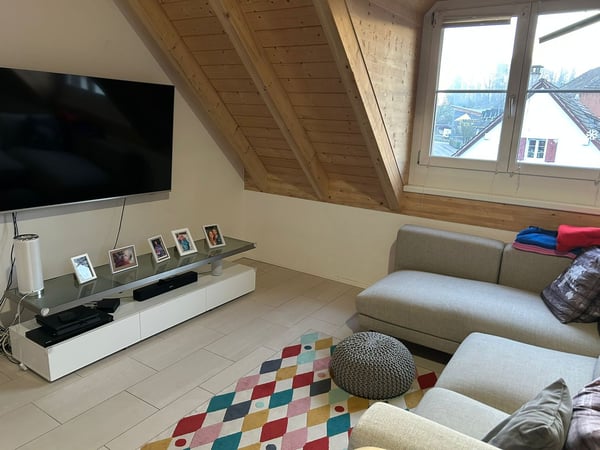 Grosszügige 1-Zimmer-Duplex-Wohnung mit Kamin in Oberhasli 2