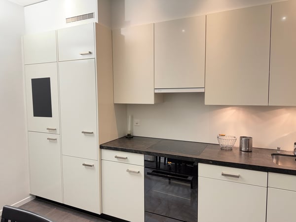 Exclusive Furnished Flat in Historical Building - Rüschlikon 54