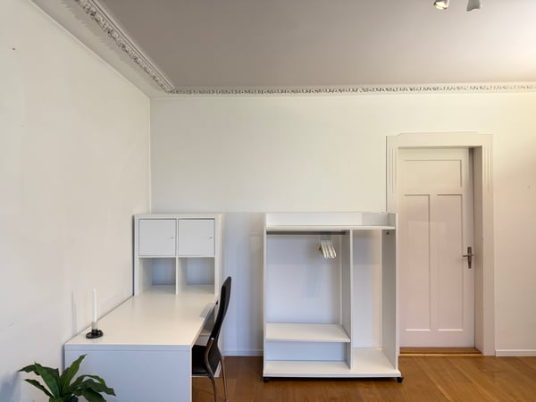 Exclusive Furnished Flat in Historical Building - Rüschlikon 16
