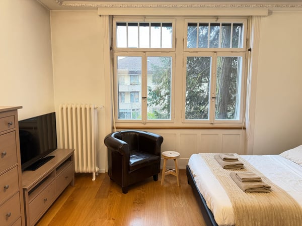 Exclusive Furnished Flat in Historical Building - Rüschlikon 19