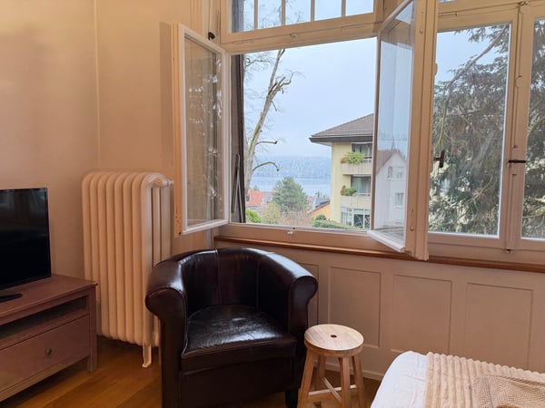 Exclusive Furnished Flat in Historical Building - Rüschlikon 22