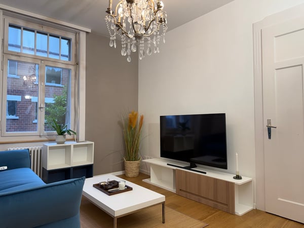 Exclusive Furnished Flat in Historical Building - Rüschlikon 1