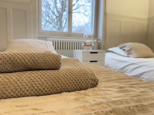 Exclusive Furnished Flat in Historical Building - Rüschlikon 7