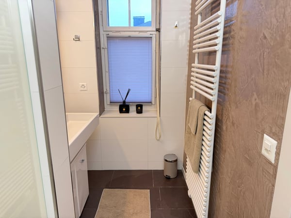 Exclusive Furnished Flat in Historical Building - Rüschlikon 37