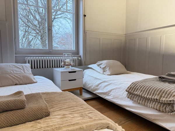 Exclusive Furnished Flat in Historical Building - Rüschlikon 5