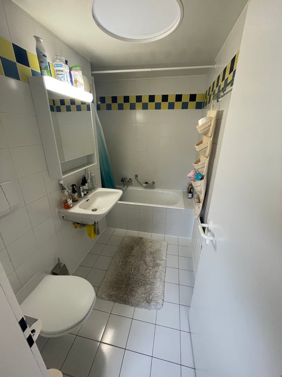 Spacious 1.5-room family apartment with balcony and garage in Nyon 11