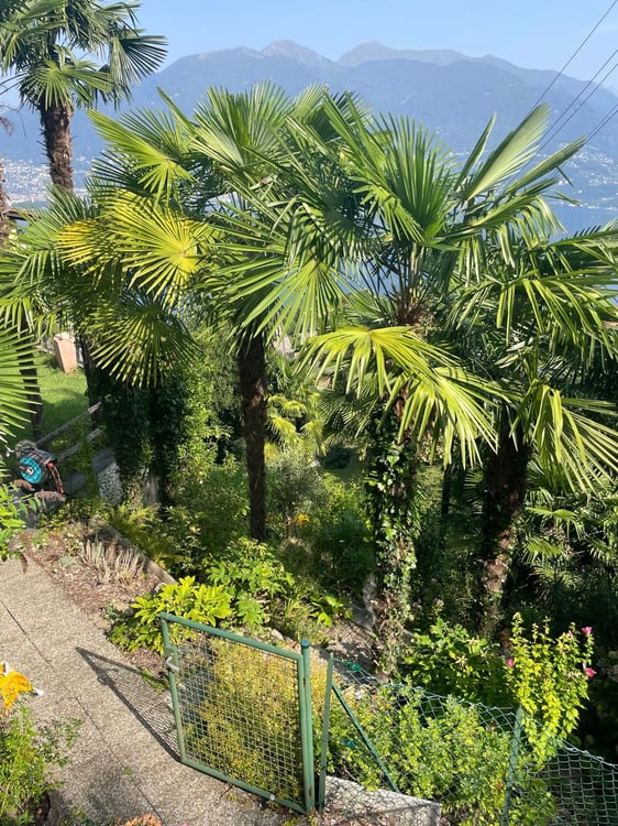 Einfamilienhaus mit Traumseesicht & grosser Terrasse - mediterranes Wohnen im Tessin 17