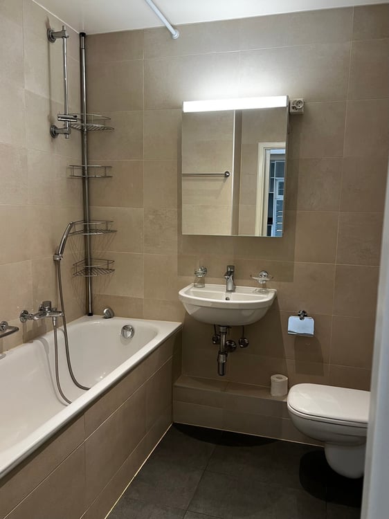 Spacious 1-room apartment with garden access in Chêne-Bourg 2