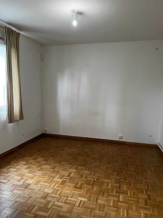 Spacious 1-room apartment with garden access in Chêne-Bourg 4