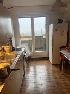 Magnifique appartement-terrasse de 1 pièces à Thônex 3