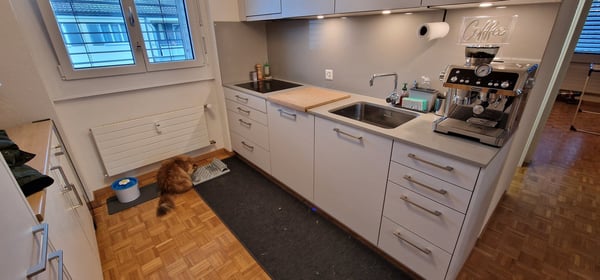 Zimmer Egg b. Zürich Mitbewohner 3