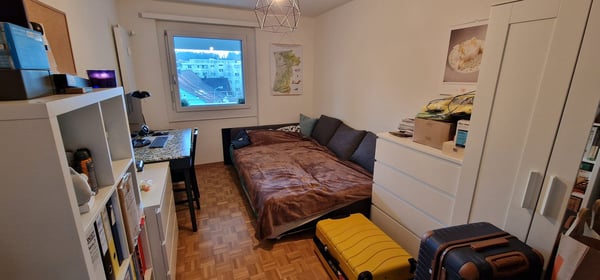 Zimmer Egg b. Zürich Mitbewohner 1