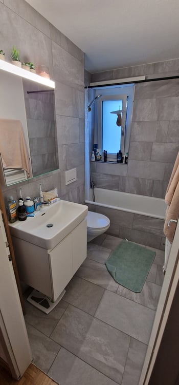 Zimmer Egg b. Zürich Mitbewohner 6