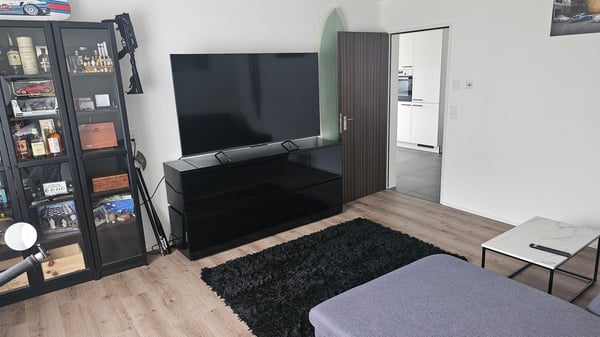 Moderne 1.5-Zimmer-Wohnung an ruhiger Lage in Siebnen 1