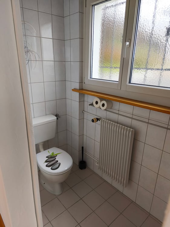 Charmante 1-Zimmer-Wohnung mit Sitzplatz und schöner Aussicht in Uhwiesen 5