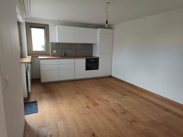 Charmante 1-Zimmer-Wohnung mit Sitzplatz und schöner Aussicht in Uhwiesen 1