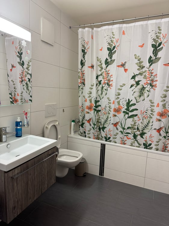 Magnifique appartement de 1.5 pièces avec vue à Estavayer 4