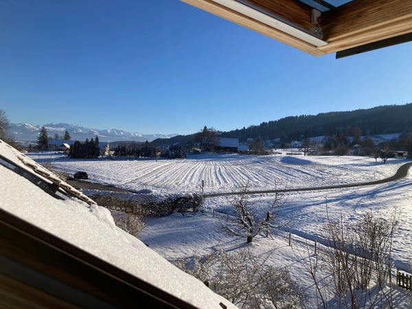 1.5 Zimmer Haus mit Garten im Grünen (Tür zu Bhf. Stadelhofen 23min mit Forchbahn) 1