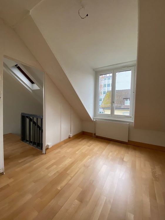 Charmantes 1-Zimmer-Doppel-Einfamilienhaus im Kreis 1, Zürich 4