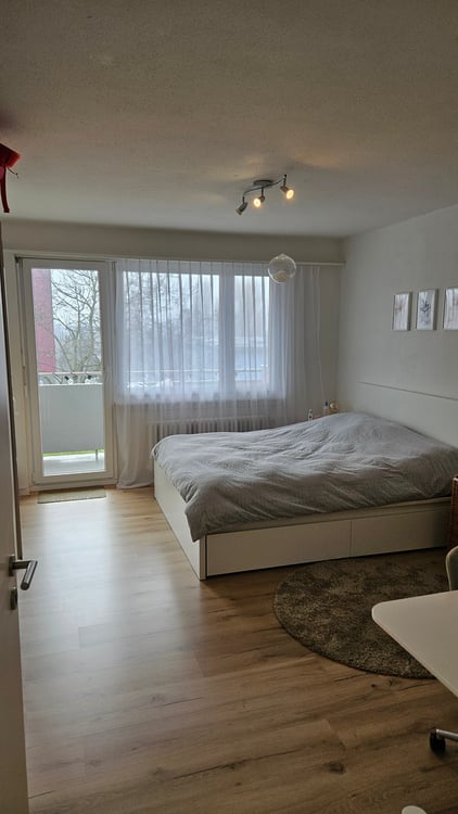 Helle 1-Zimmer-Wohnung mit Garage in Risch-Rotkreuz 2