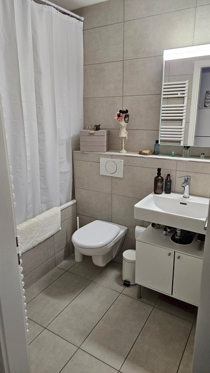 Helle 1-Zimmer-Wohnung mit Garage in Risch-Rotkreuz 3