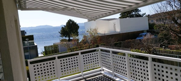 Charmante 1.5-Zimmer-Wohnung mit Seeblick in Herrliberg 1