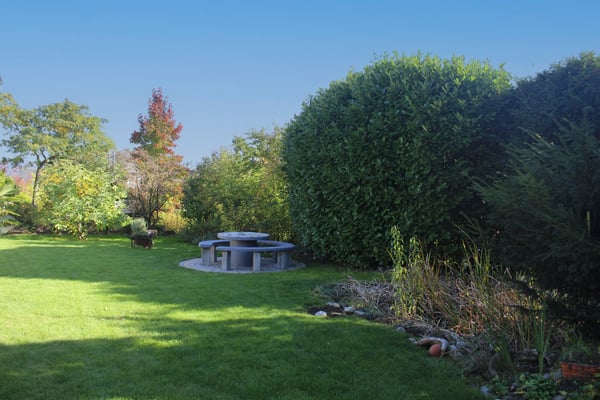 Charmantes 1.5-Zimmer-Einfamilienhaus mit Garten in Witterswil 1