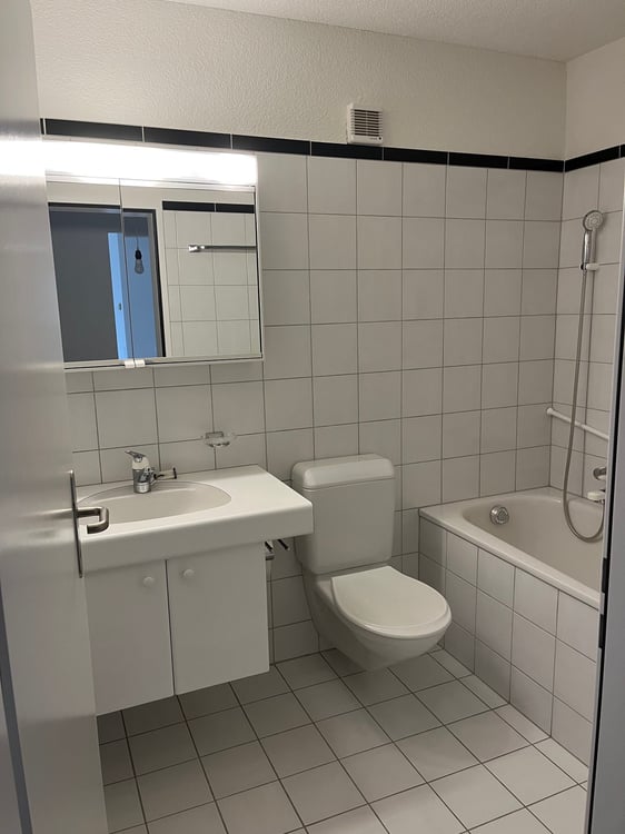 Grosse, gemütliche 1.5 Wohnung in Henggart 6