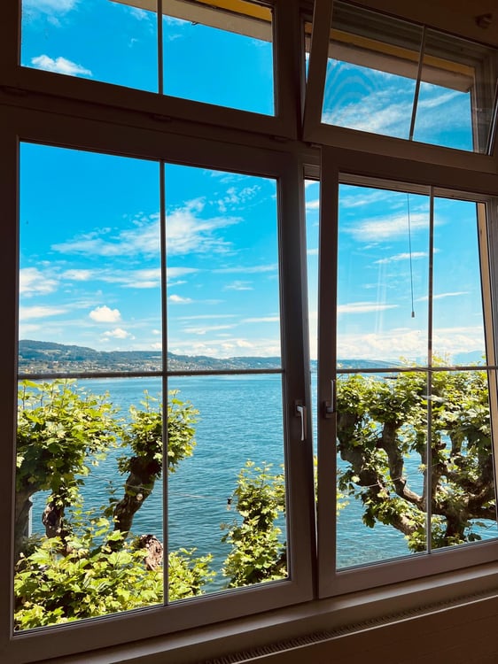 Exklusive 1.5-Zimmer-Terrassenwohnung mit Seeanstoss & Restaurant Service in Horgen 4