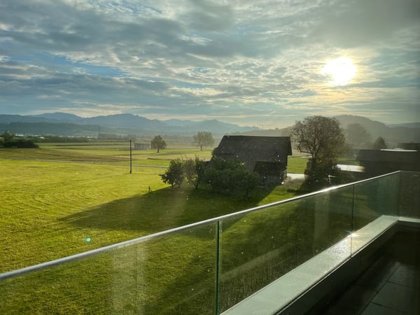 Attikawohnung in Wangen SZ 11