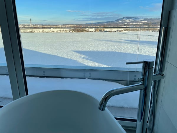 Attikawohnung in Wangen SZ 4