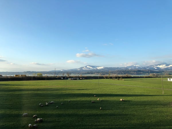 Attikawohnung in Wangen SZ 13