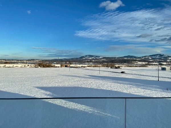 Attikawohnung in Wangen SZ 7