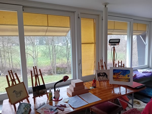 Einfamilienhaus an ruhiger Lage in Oberwangen TG 3