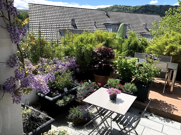 Furnished dwelling in Gattikon 9