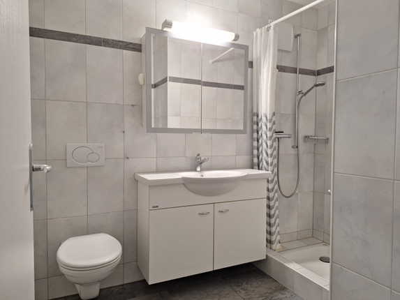 Moderne 1.5-Zimmer-Wohnung mit wunderschöner Aussicht in Villnachern 10