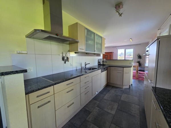 Moderne 1.5-Zimmer-Wohnung mit wunderschöner Aussicht in Villnachern 6